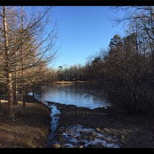 Meet your Posher, Cole